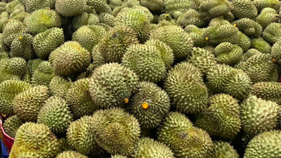 Japan forced to destroy 2 shipments of Vietnamese durian and chili peppers containing chemical residues