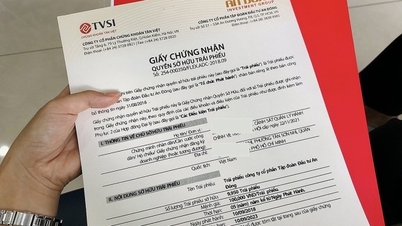 Chứng khoán Tân Việt bị đình chỉ hoạt động mua