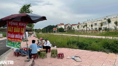 Ít người quan tâm hơn, đất nền đấu giá tại Hà Nội đã hạ nhiệt?