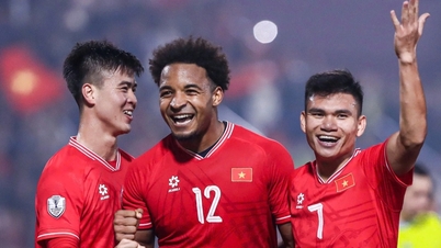 ราคาตั๋วชมทีมชาติเวียดนามลงเล่นนัดชิงชนะเลิศ AFF Cup สูงสุดเป็นประวัติการณ์
