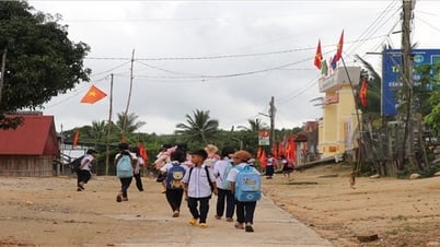 "សាបព្រួសសំបុត្រ" នៅតំបន់ខ្ពង់រាប Phu Mo