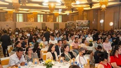 សមត្ថភាពរបស់វិនិយោគិនក្នុងការទូទាត់