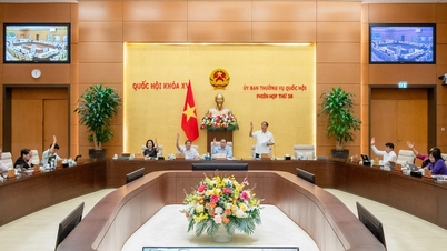 ឧស្សាហកម្មព័ត៌មាន និងទំនាក់ទំនងនាំមុខគេក្នុងការសម្រួលអង្គភាពសេវាសាធារណៈ