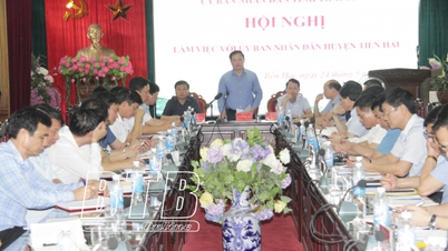 Tích cực nắm bắt, tháo gỡ khó khăn, vướng mắc thúc đẩy sản xuất, kinh doanh phát triển