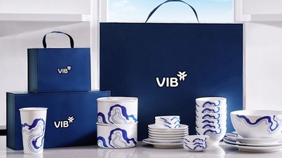 VIB from understanding to touching customer emotions