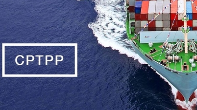 CPTPP mở lối cho doanh nghiệp Việt tham gia sâu vào chuỗi cung ứng