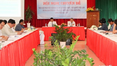 សន្និសីទស្តីពីការបណ្តុះបណ្តាលវិជ្ជាជីវៈ ការដាក់ការងារ និងការបញ្ជូនពលករទៅធ្វើការនៅក្រៅប្រទេសតាមកិច្ចសន្យា