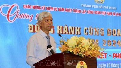 ការសរសើរសហគ្រាសធម្មតានៃសាមគ្គីភាព និងការអភិវឌ្ឍន៍