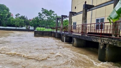 Hà Nội cải tạo trạm bơm tiêu thoát nước chống ngập úng cho huyện Đông Anh