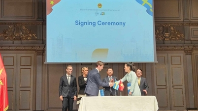 Promoting Vietnam - Sweden relations in the fields of trade and investment