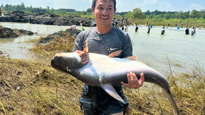 ចាប់​ត្រី​យក្ស​នៅ​ជើង​ទំនប់ Tri ​​An