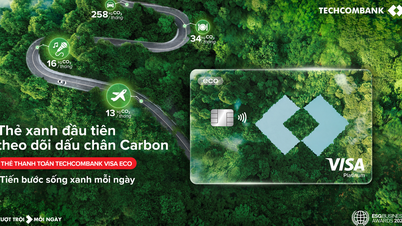 Techcombank បើកដំណើរការកាតបៃតងដំបូងដែលតាមដានកាបូនឌីអុកស៊ីត
