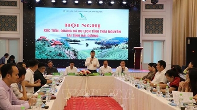 Liên kết thúc đẩy các hoạt động xúc tiến đầu tư, hợp tác phát triển du lịch