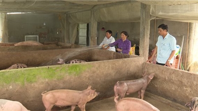 Sáng kiến xây dựng Tổ đoàn kết 3 dân tộc Kinh - Hoa – Khmer để cùng thoát nghèo