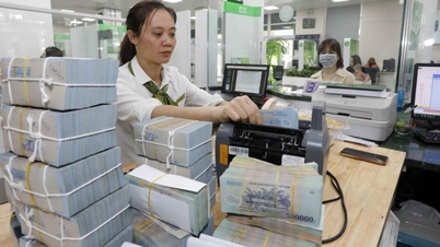 Những dự báo lạc quan về triển vọng kinh tế Việt Nam năm 2024