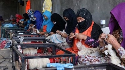 International Story: Rising from Despair