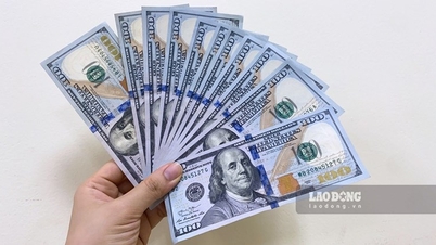 Tỷ giá ngoại tệ, tỷ giá hối đoái, tỷ giá USD chợ đen hôm nay 14.2