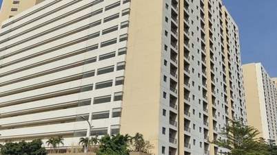 There should be exceptions in adjusting social housing planning.