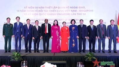 Kỷ niệm 50 năm thiết lập quan hệ ngoại giao Việt Nam - Singapore