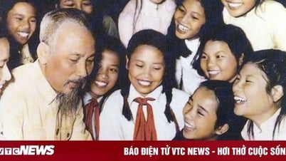 Chủ tịch Hồ Chí Minh thông thạo bao nhiêu ngôn ngữ?