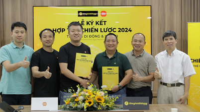 Mobile World មានបំណងលក់ឧបករណ៍ Xiaomi ចំនួន 1.2 លានគ្រឿងនៅឆ្នាំ 2024