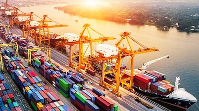 WB: Tăng trưởng GDP Việt Nam năm 2023 sẽ chững lại, dự báo còn 4,7%