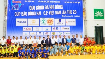 THACO អមដំណើរបាល់ទាត់សាលាក្នុងខេត្ត Dong Nai