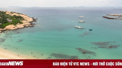 سر الجزيرة التي لا ينفد منها الماء العذب أبدًا
