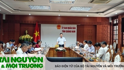 ប្រធានគណៈកម្មាធិការប្រជាជនខេត្ត Quang Nam បានអញ្ជើញជាអធិបតីក្នុងកិច្ចប្រជុំដើម្បីលុបបំបាត់ការលំបាកសម្រាប់អាជីវកម្ម