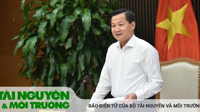Ngân hàng và doanh nghiệp phải đi chung một đường!