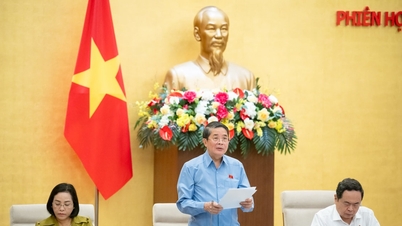 គណៈកម្មាធិការអចិន្ត្រៃយ៍រដ្ឋសភាផ្តល់យោបល់លើផែនការអភិវឌ្ឍន៍សេដ្ឋកិច្ចសង្គមឆ្នាំ២០២៥