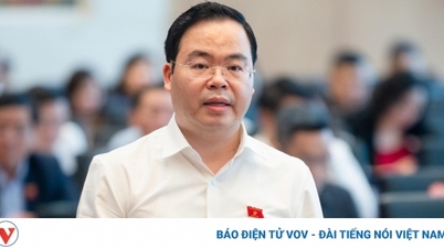 សំណើរឱ្យទីក្រុងហាណូយមានយន្តការត្រួតពិនិត្យ