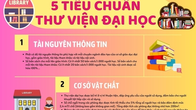 Infographic - 5 tiêu chuẩn của thư viện đại học