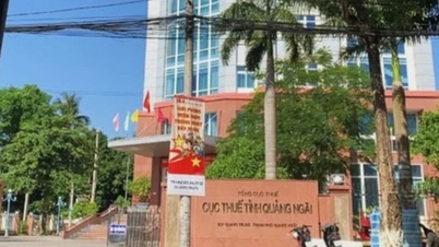 Tạm hoãn xuất cảnh 2 lãnh đạo doanh nghiệp vận tải nợ thuế 1,3 tỷ đồng