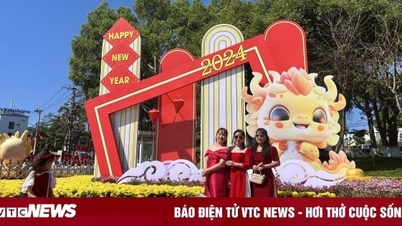 Check-in ngày xuân, người dân tán thưởng đường hoa Gia Lai 'xứng điểm 10'