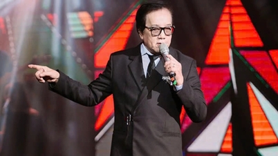 Famous singer Elvis Phuong performs energetically at the age of 79