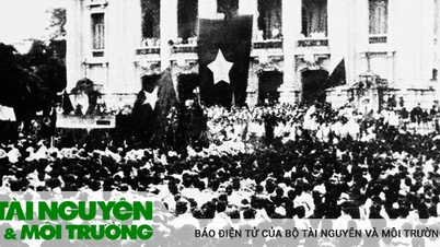 បដិវត្តន៍វៀតណាមជាមួយមេរៀនចាប់យកឱកាស