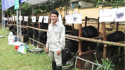 pioneer in bringing new varieties into production