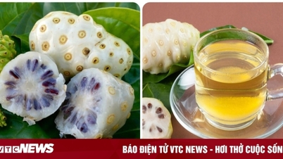 តើ​ការ​ផឹក​ទឹក​ណូនី​ជា​រៀង​រាល់​ថ្ងៃ​មាន​ផល​ប៉ះ​ពាល់​យ៉ាង​ណា?