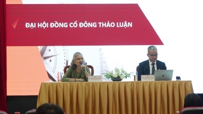 រឿង "ក្តៅ" នៃមូលបត្របំណុល Trung Nam និងតម្លៃភាគហ៊ុន VND