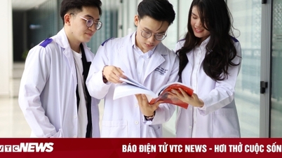 Muốn làm bác sĩ phẫu thuật thẩm mỹ học ngành nào?