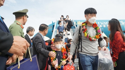 Reopening Guangzhou - Cam Ranh flight route, Khanh Hoa hopes to recover Chinese tourists