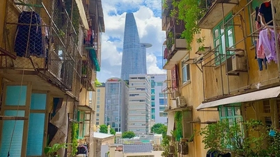 Khách Tây chia sẻ trải nghiệm ở chung cư cũ TP HCM