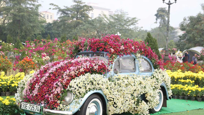 រូបថតរបស់ Me Linh Flower Festival 2024