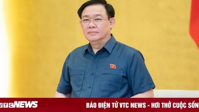 Tránh cài cắm lợi ích nhóm trong xây dựng hệ thống pháp luật