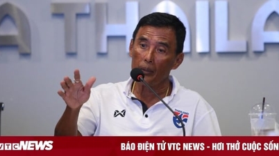 The Football Association of Thailand invited a police lieutenant general to investigate the SEA Games final brawl.