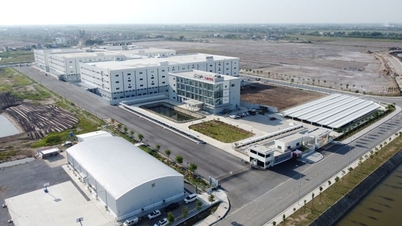 Kinh nghiệm thu hút vốn đầu tư FDI nhìn từ thành công của quê lúa Thái Bình