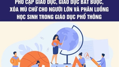 ធ្វើឱ្យប្រសើរឡើងនូវប្រសិទ្ធភាពនៃការអប់រំជាសកល និងអក្ខរកម្មសម្រាប់មនុស្សពេញវ័យ។
