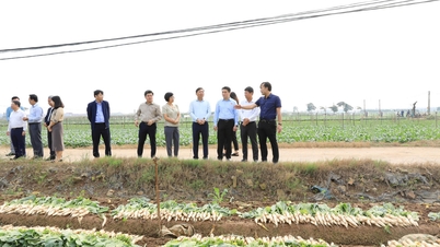 ទីក្រុង​ហាណូយ​នឹង​បើក​សម័យ​ប្រជុំ​ពន្យល់​ពី​ការ​គ្រប់​គ្រង​ដី​មាត់​ទន្លេ។