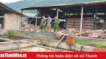 រកឃើញ និង​ត្រួតពិនិត្យ​បទល្មើស​ជិត ៨០០ ករណី​ក្នុង​វិស័យ​ការពារ​បរិស្ថាន​